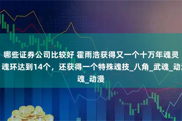 哪些证券公司比较好 霍雨浩获得又一个十万年魂灵，魂环达到14个，还获得一个特殊魂技_八角_武魂_动漫